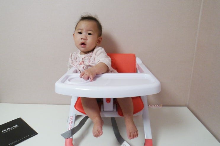 이유식의자 엔픽스 하이브리드 휴대용 부스터 좋아요