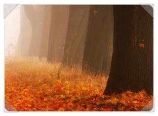  '근본이 바로 서야 길道이 열린다'