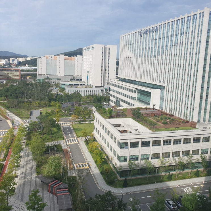  민사소송항소 준비에 필요한 모든 것!