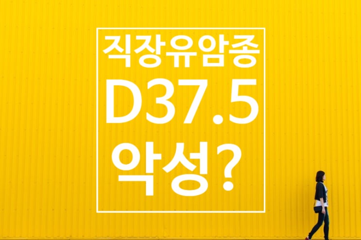  직장유암종 보상받는 필수요건!!