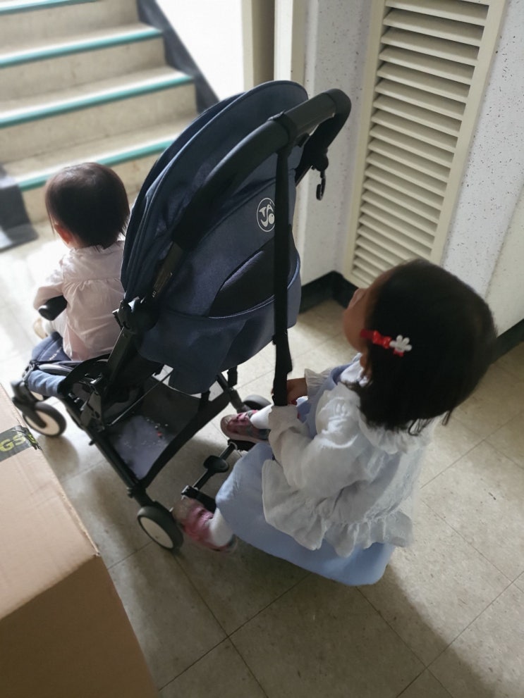  알리익스프레스 31달러짜리 2인승 유모차 키트. Kids Glider Board.