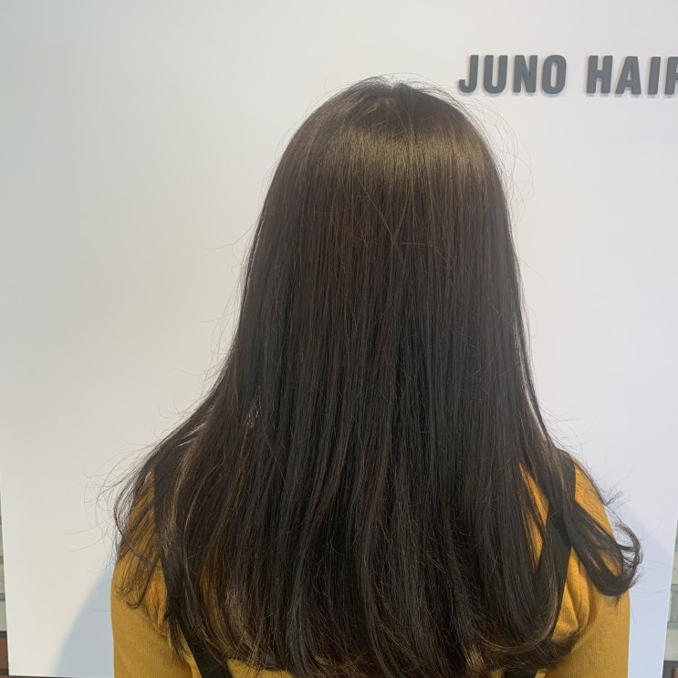  가을 염색 추천 / 에쉬브라운 / 광교 미용실 /준오헤어 앨리웨이광교점 조은일 디자이너