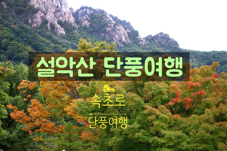  설악산 단풍 구경 갈까 성급한산악인들 엄청나게 오셨네