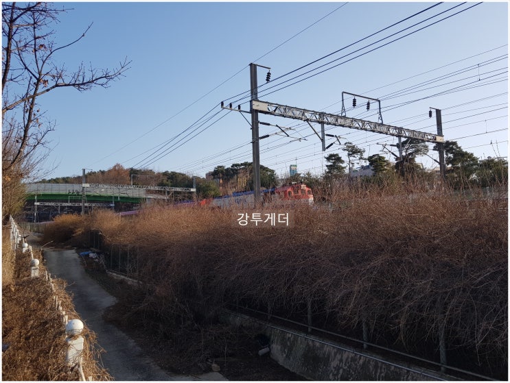  서해선 향남역 역세권 완충녹지와 도로수용 가능성