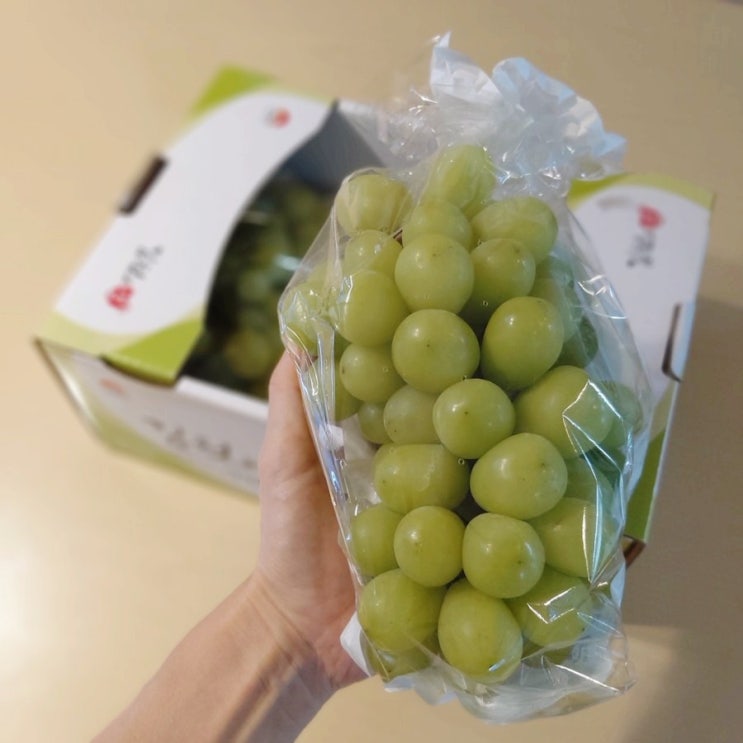  샤인머스켓 제철과일 망고 포도의 달콤 살벌한 맛과 가격! 깨끗하게 세척하는 방법.