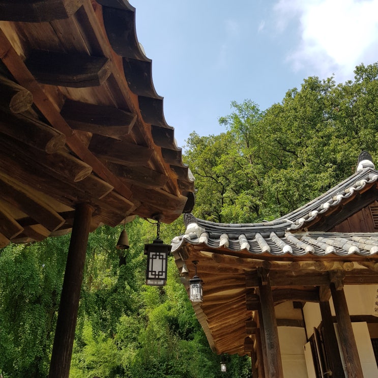  [일상기록]10월 첫째주(세번째 네이버메인)