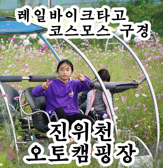  코스모스 핀  진위천 시민유원지 오토캠핑장