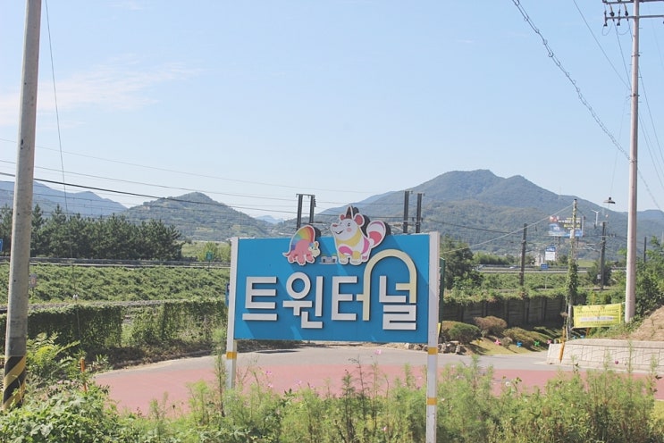  이색가을여행지 밀양 삼랑진 트윈터널 아름다운 빛 삼매경