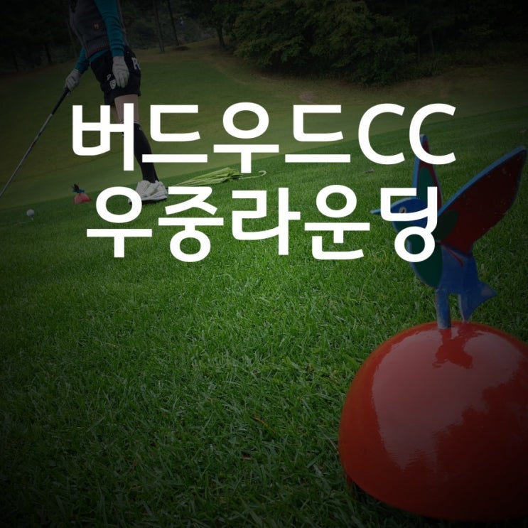  천안 버드우드CC에서 우중라운딩을 경험~경치좋은 골프클럽