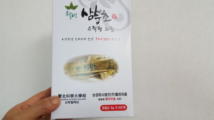  고혈압에 좋은 음식 이것  Gynura procumbens 효능