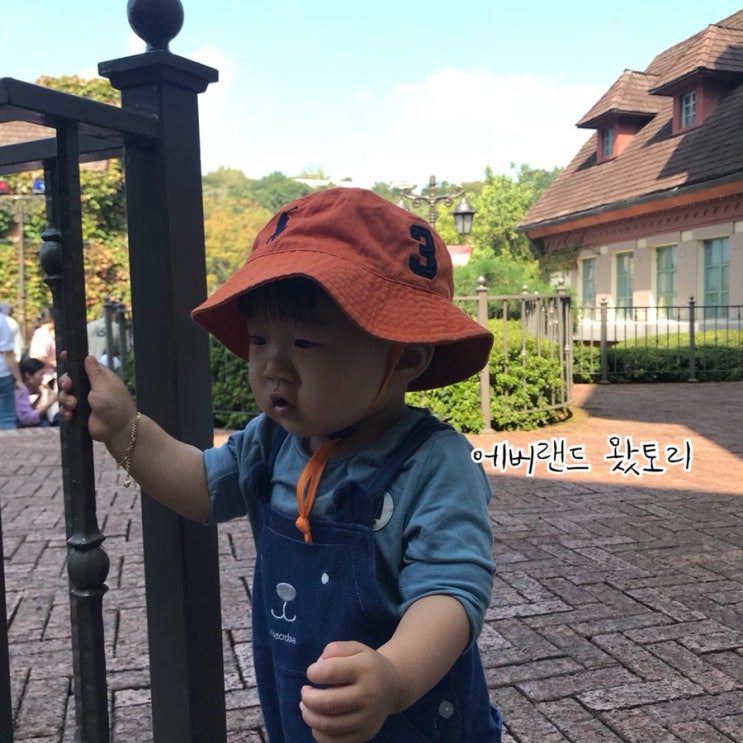  허토리네 나들이, 용인에버랜드, 15개월아기랑 놀이공원, 에버랜드방문후기