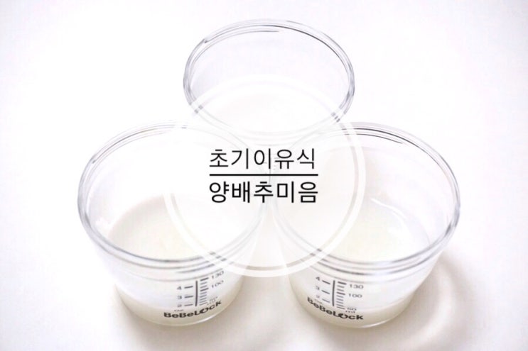  초기이유식 1단계 양배추미음