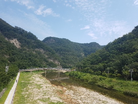  강원도 한달살기_계획중_아토피