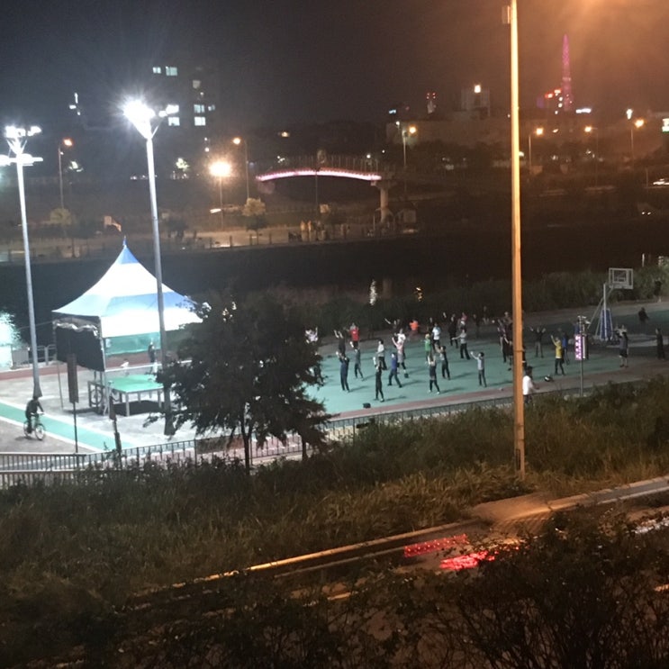  *건강일기* 직장인걷기 4주차
