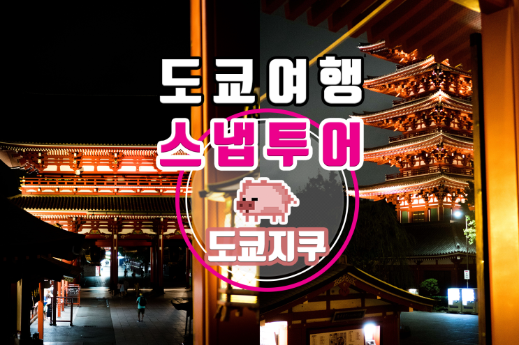  도쿄 아사쿠사 프라이빗 가이드 스냅투어, 소중한 기억과 인생샷 둘 다 잡는 1석2조 투어!