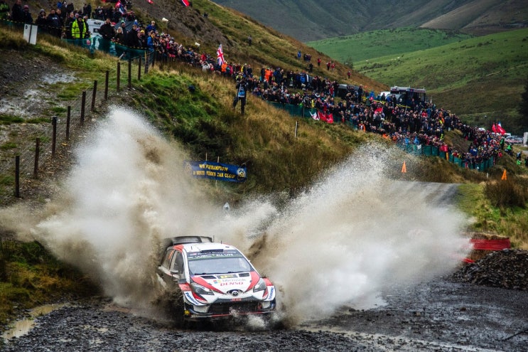  2019 FIA WRC 12라운드 토요타팀 TÄNAK 우승, 현대팀 Neuville 준우승