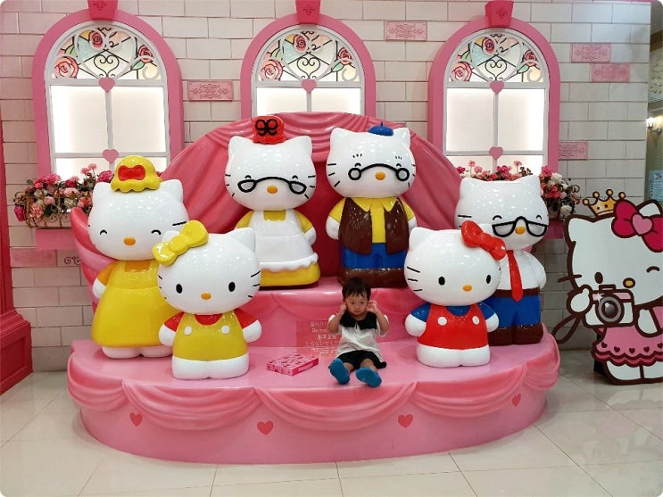  제주미니버스 대절 즐기는 특별한 경험