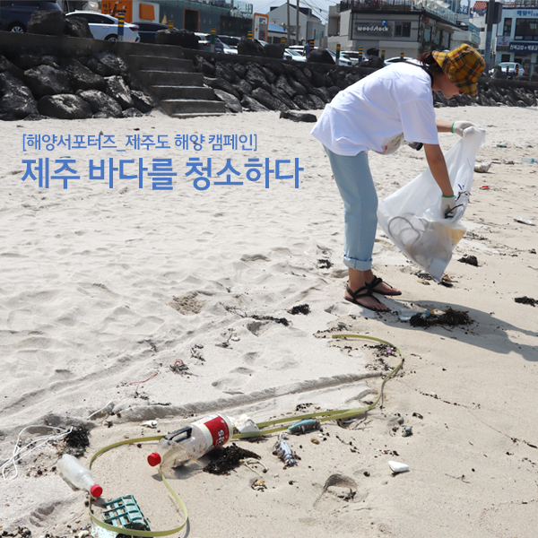  [해양서포터즈_제주도 해양 캠페인] 제주 바다를 청소하다