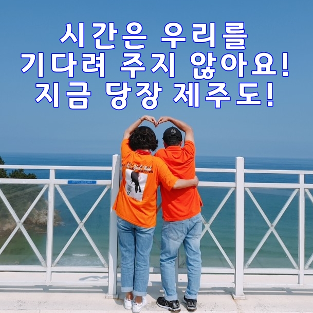  부모님 모시고 올해가 가기 전 제주도여행 가야하는 이유 & 제주도 협재펜션 추천