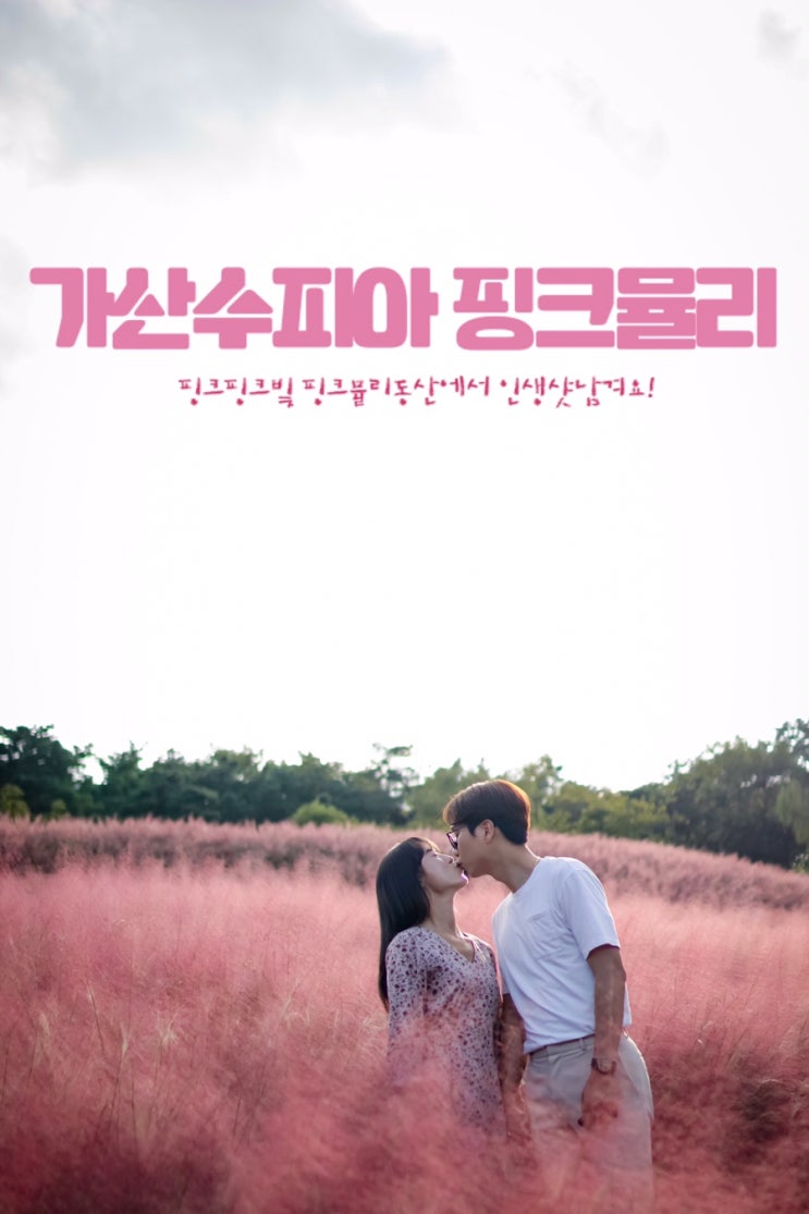  가을 경상북도 칠곡 가볼만한 곳, 핑크빛 핑크뮬리가 가득한 핑크뮬리동산에서 노을빛 가득 담은 인생샷 남겨볼까요?(개화상황,입장료,주차장,포토존)