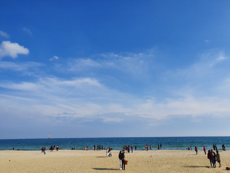  광안리 데이트 꿀힐링하는 법