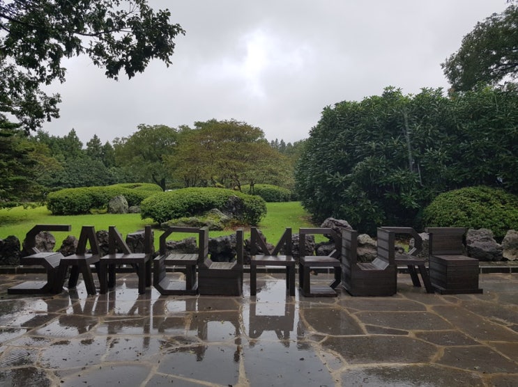  제주도-너무예쁜갈대가 함께하는 오름(산굼부리)