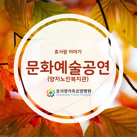  효사랑 문화공연 양지노인복지관 노인재능나눔활동