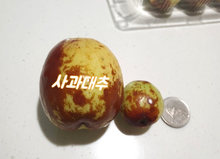  사과대추 효능 알고먹자.