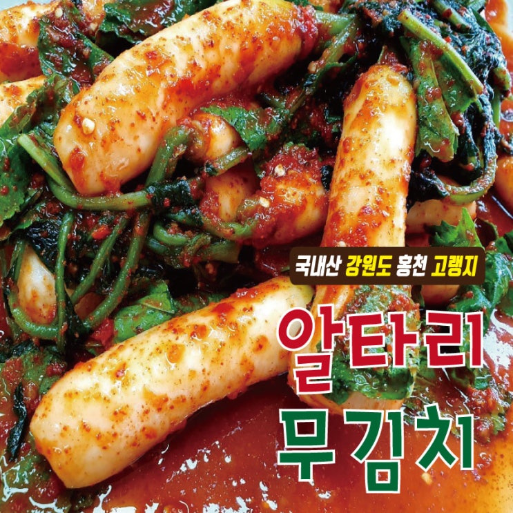  [농민의마음] 내일마감! 아삭아삭하고 시원한 맛있는 강원도 홍천 고랭지 알타리 무김치 / 총각김치