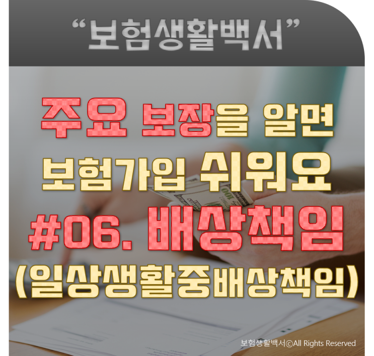  주요 보장을 알면 보험 가입 쉬워요 - #06. 일상생활중배상책임