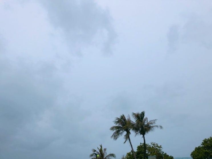 19호 태풍 하기비스 예상 경로 괌 비행기지연