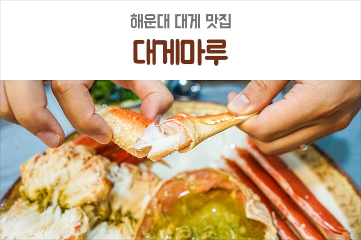  해운대 대게 맛집 살이 꽉찬 대게마루