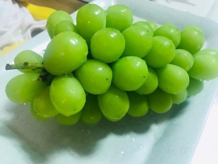  순천 과일가게 추천 The착한과일 