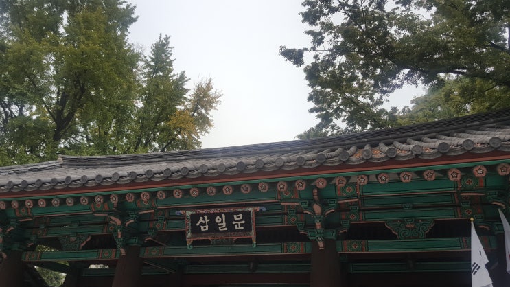  3.1운동 100주년 기념 답사