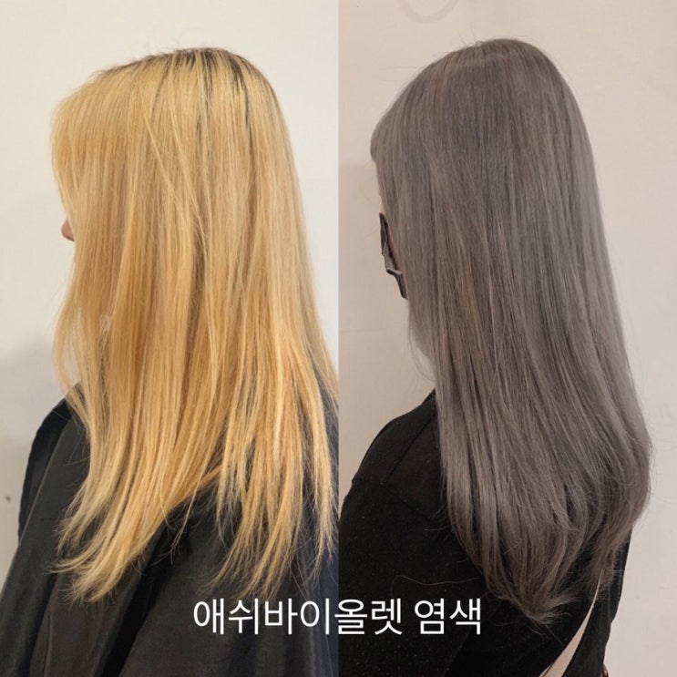  애쉬 바이올렛 염색 후기 가져왔어요! 범계 미용실 by 가람실장