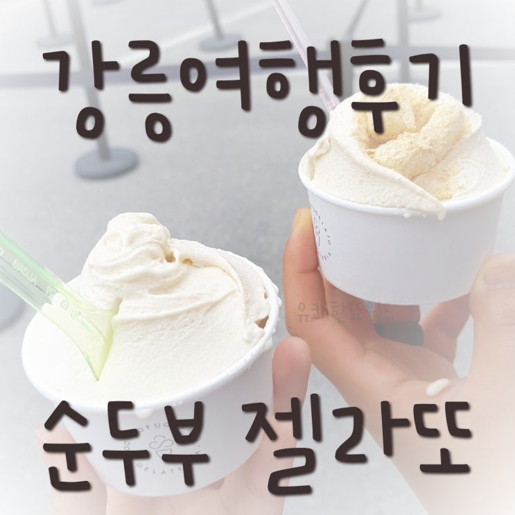  강릉 순두부 젤라또 : 소나무집 초당순두부 가격 / 후기