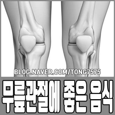  무릎관절에 좋은 음식 가볍게 참고하세요
