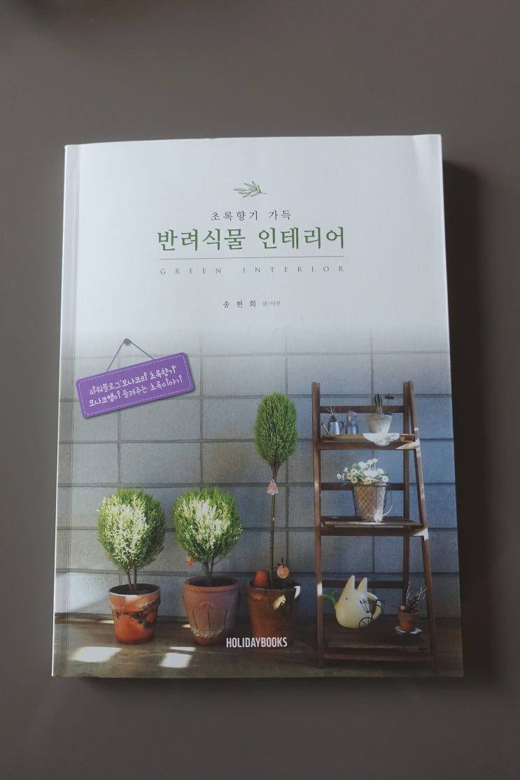 초록향기가 가득한 도서' 반려식물 인테리어'