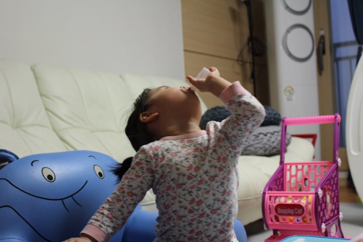  돌아기아연은 징크디펜스 영양제로 챙겨줘요