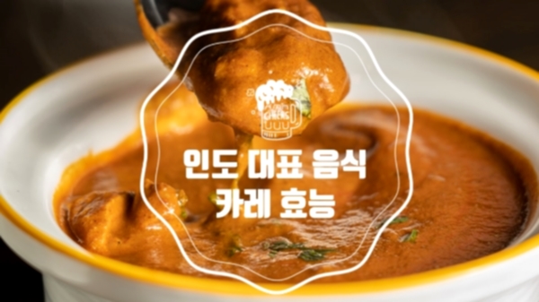  인도 대표 음식 카레의 여러가지 효능