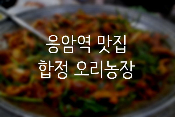  [응암역 맛집] 은평구오리 맛집 합정오리농장
