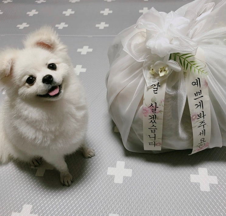  W)D-174, 양가 첫 인사 선물로 로즈애플 마산점에서 과일바구니 준비했어요!