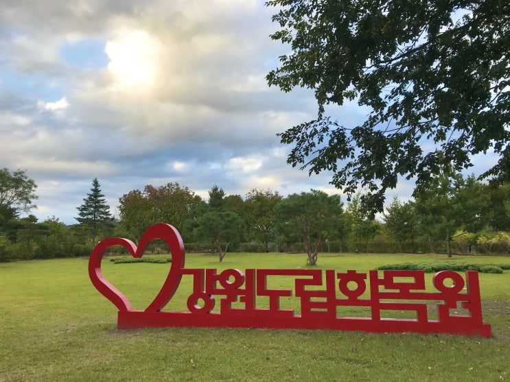 [ 춘천가볼만한곳] 춘천 강원도립화목원 춘천산림박물관 아이들 델고 오기 딱! 춘천산림박물관 춘천가볼만한곳 춘천놀거리 춘천수목원 춘천공원 춘천데이트 춘천여행 춘천체험 춘천박물관