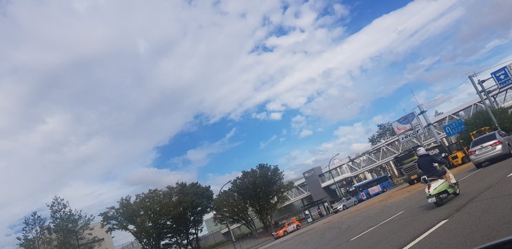  건국대학교 주짓수? 골든라이온 은 어떤가요?