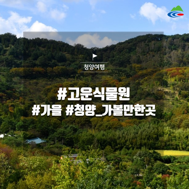  고운식물원의 참 고운 가을
