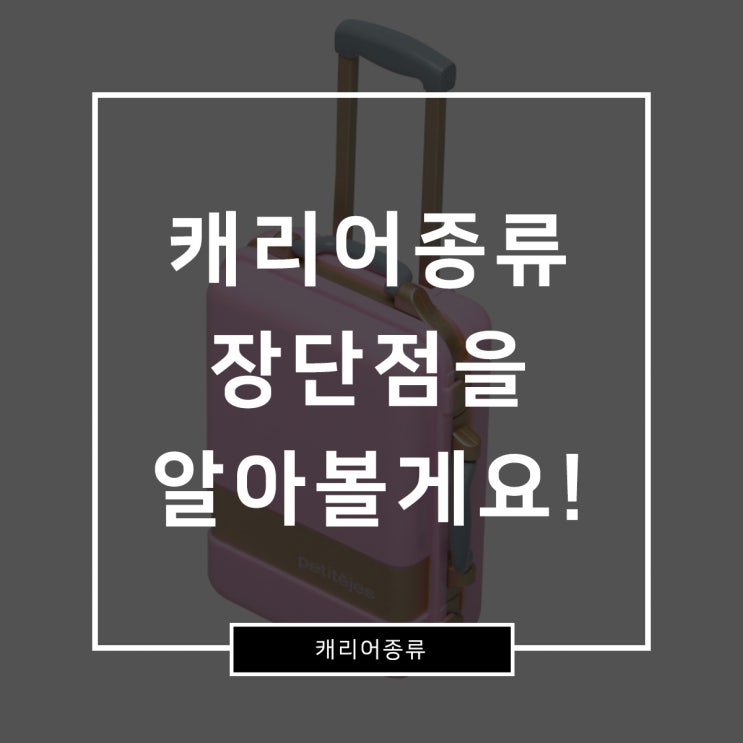  캐리어 종류 장단점을 알아볼게요!