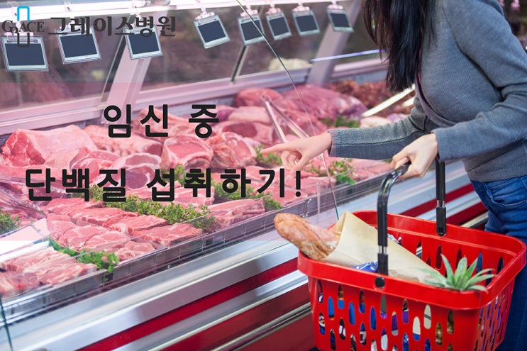  임신기간, 단백질 보충하기!