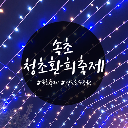  속초 여행코스 : 2019 청초환희 빛축제 다녀온 후기