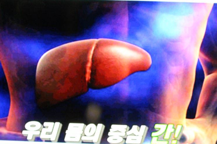  간수치 높은 이유 따져보고 막아요