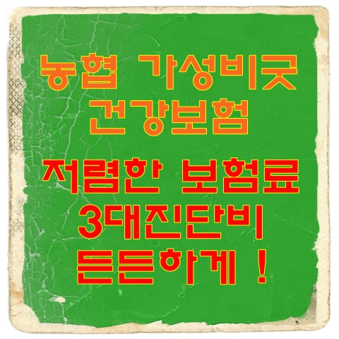  농협 가성비굿건강보험 저렴한 보험료로 3대진단비 든든하게 !